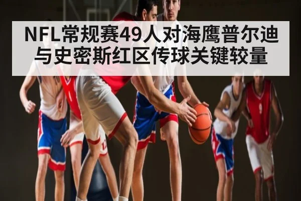 NFL常规赛49人对海鹰普尔迪与史密斯红区传球关键较量